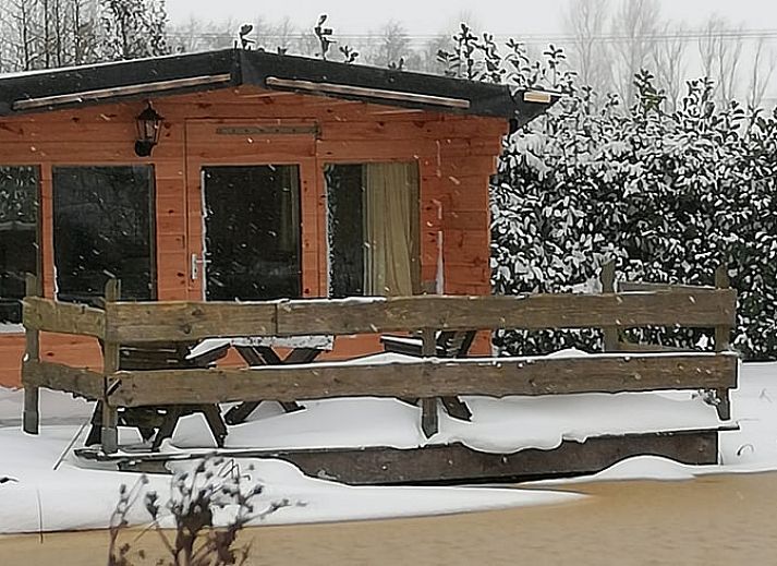 Gemuetliches Ferienhaus in Elim mit Blick auf den Teich und die ueppige Natur. Geniessen Sie die ruhige Umgebung im Suedwesten von Drenthe.