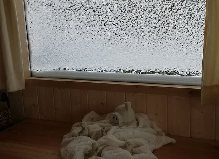 Ferienhaus in Elim an einem ruhigen Teich inmitten der Flora im Suedwesten von Drenthe. Ideale Lage fuer Naturliebhaber.