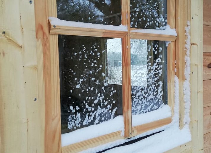 Ferienhaus in Elim an einem ruhigen Teich inmitten der Flora im Suedwesten von Drenthe. Ideale Lage fuer Naturliebhaber.