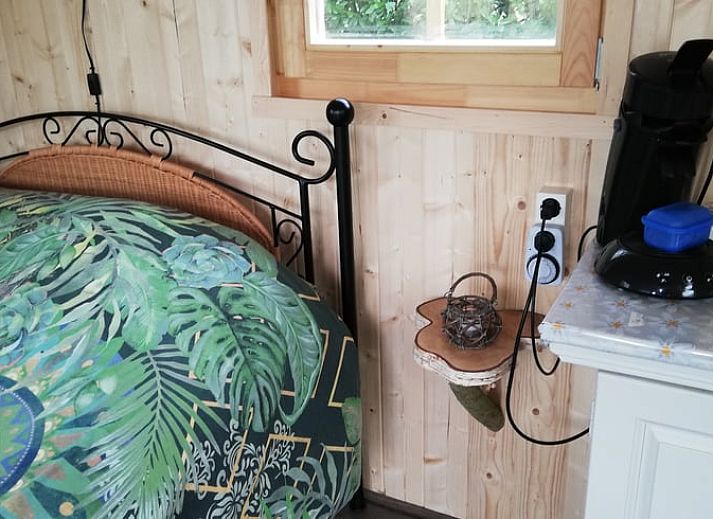 Ferienhaus in Elim an einem ruhigen Teich inmitten der Flora im Suedwesten von Drenthe. Ideale Lage fuer Naturliebhaber.