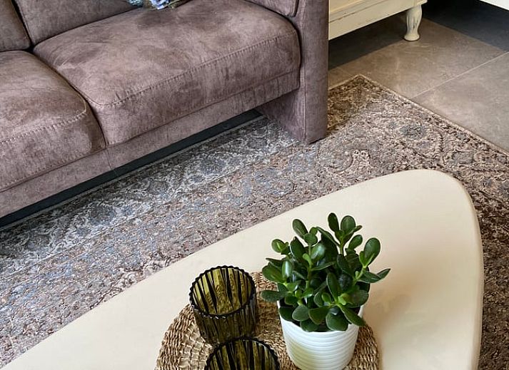 Rustieke tuin bij Huisje in Elim, vakantiehuis in Elim, Zuidwest Drenthe, met weelderige natuur en blauwe lucht op de achtergrond.