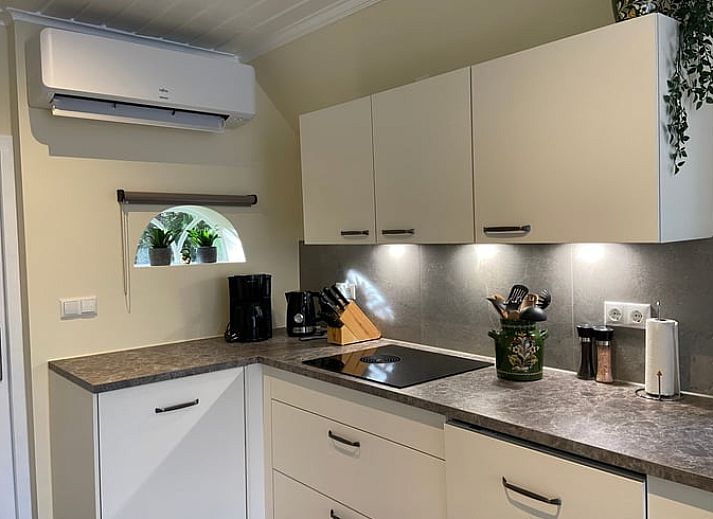 Rustieke tuin bij Huisje in Elim, vakantiehuis in Elim, Zuidwest Drenthe, met weelderige natuur en blauwe lucht op de achtergrond.