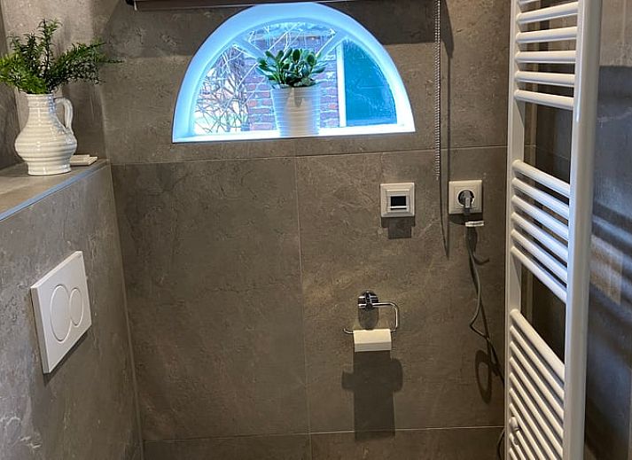 Kunstwerk met bloemen in Huisje in Elim, vakantiehuis in Elim, Zuidwest Drenthe, dat een kleurrijke en artistieke sfeer toevoegt.