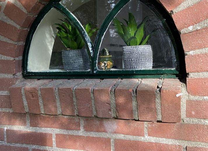 Kunstwerk met bloemen in Huisje in Elim, vakantiehuis in Elim, Zuidwest Drenthe, dat een kleurrijke en artistieke sfeer toevoegt.