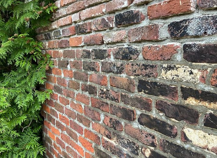 Kunstwerk met bloemen in Huisje in Elim, vakantiehuis in Elim, Zuidwest Drenthe, dat een kleurrijke en artistieke sfeer toevoegt.