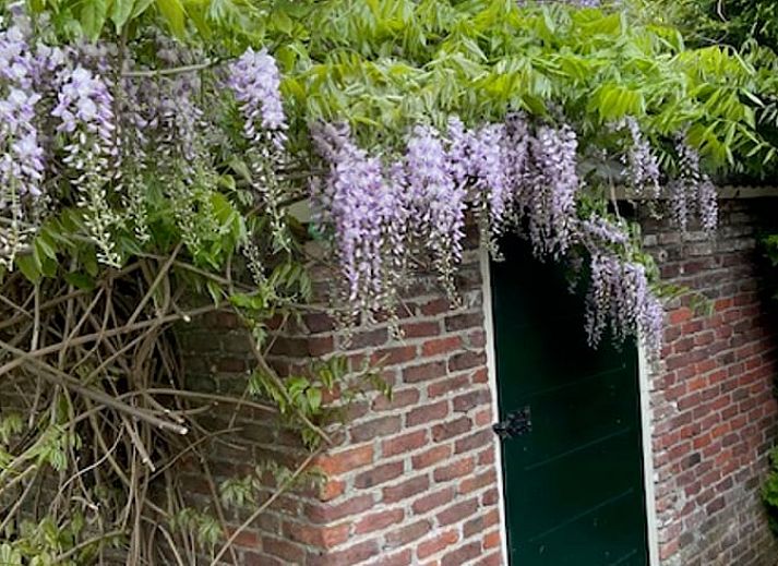 Ruime binnenruimte van Huisje in Elim, vakantiehuis in Elim, Zuidwest Drenthe, met keuken, eethoek en gezellige zithoek.