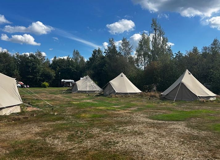 Guest house 202520 - Holiday property Zuidwest Drenthe - Vakantiehuis in Elim