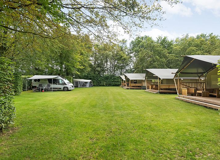 Unterkunft 202806 - Zelthaus Zuidwest Drenthe - Safaritent incl sanitair
