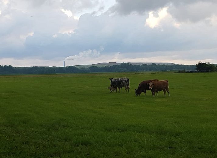 Diele des Ferienhauses in Tiendeveen, Drenthe mit Holztreppe und natuerlichem Licht.