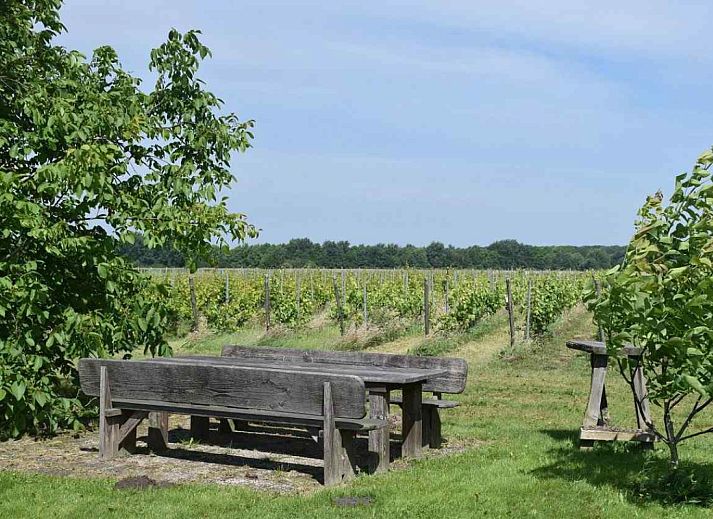 Unterkunft 202809 - Ferienhaus Zuidwest Drenthe - DG257