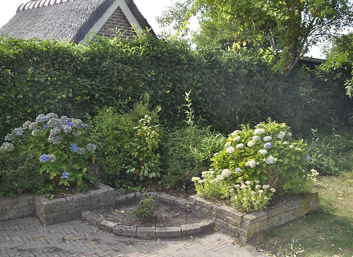 Unterkunft 202810 - Ferienhaus Zuidwest Drenthe - DG048