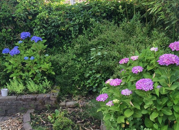 Unterkunft 202814 - Ferienhaus Zuidwest Drenthe - Vakantiehuis Ferienvilla mit Sauna und Whirlpool