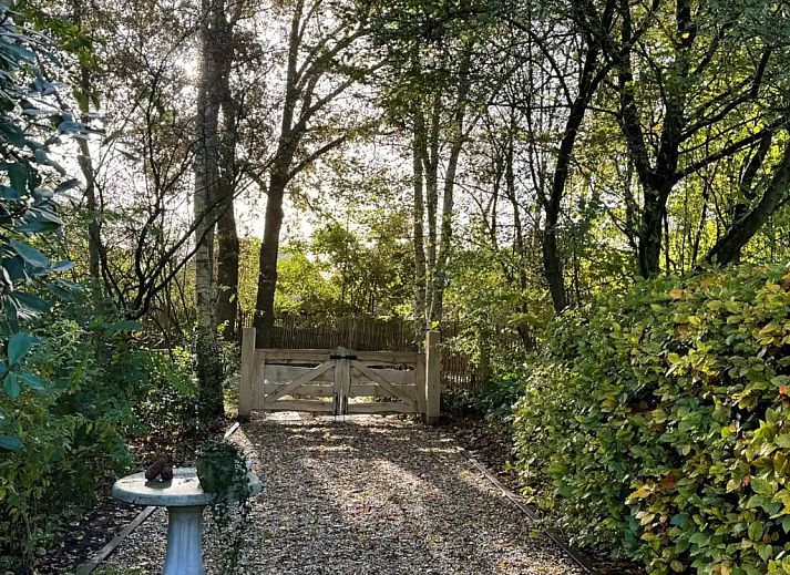 Guest house 203011 - Holiday property Zuidwest Drenthe - Erve Soebringe