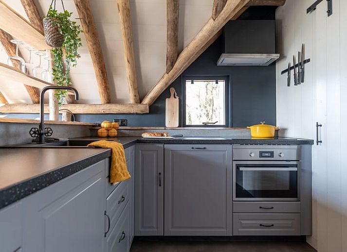 Ferienhaus in Ansen, einzigartiges Baumhaus-Erlebnis inmitten der Natur in Suedwest-Drenthe.