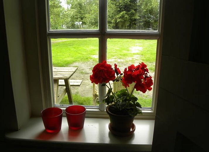 Gemuetliche Terrasse im Ferienhaus in Ansen, Suedwest-Drenthe, umgeben von Natur.