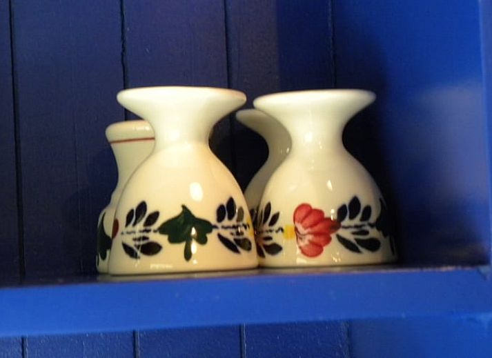 Gemuetliche Terrasse im Ferienhaus in Ansen, Suedwest-Drenthe, umgeben von Natur.