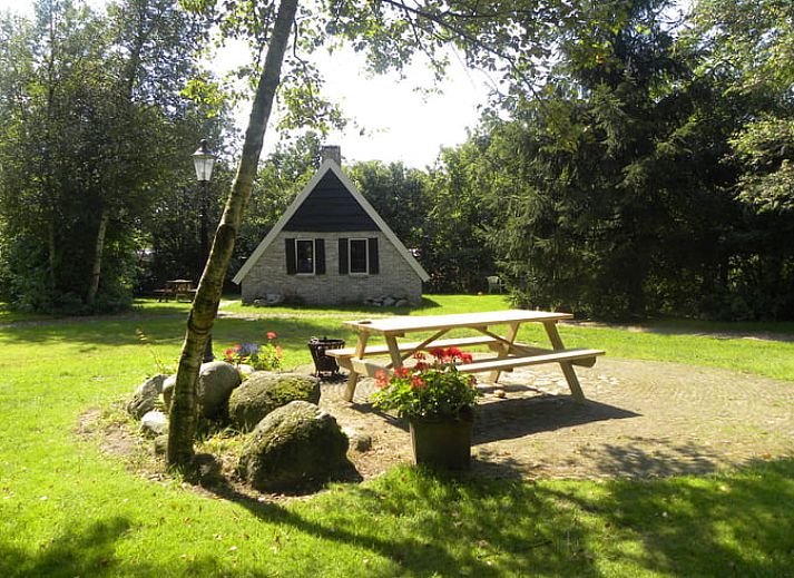 Gemuetliche Terrasse im Ferienhaus in Ansen, Suedwest-Drenthe, umgeben von Natur.