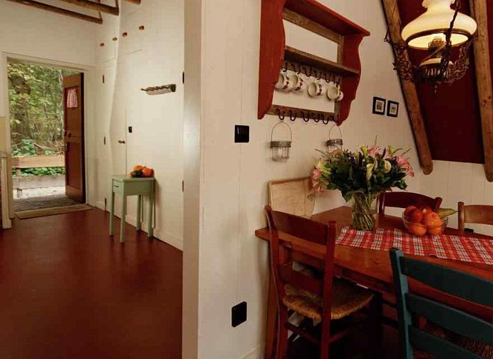 Ferienhaus DG613 in Ansen, Drenthe mit gemuetlichem Aussenbereich und Picknicktisch.