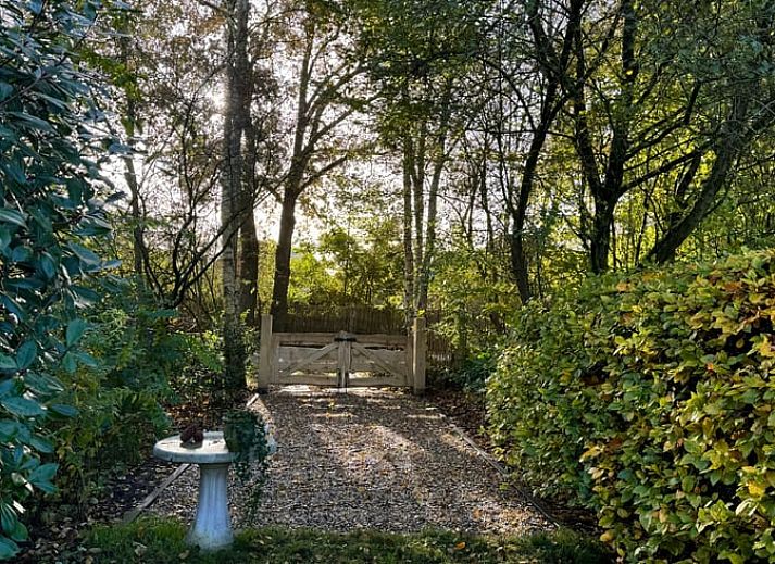 Ferienhaus in Ansen, Suedwest-Drenthe mit Reetdach und gruenem Garten.