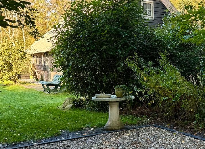 Ferienhaus in Ansen, Suedwest-Drenthe mit Reetdach und gruenem Garten.