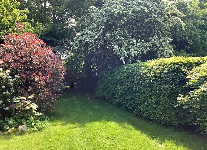 Eingang zum Ferienhaus in Ansen, Suedwest-Drenthe, mit laendlicher Einrichtung.