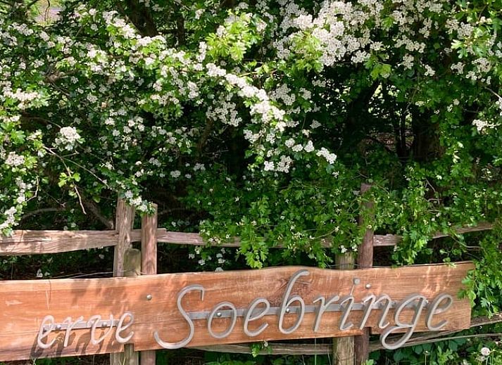 Eingang zum Ferienhaus in Ansen, Suedwest-Drenthe, mit laendlicher Einrichtung.