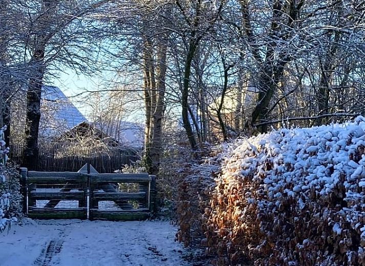 Eingang zum Ferienhaus in Ansen, Suedwest-Drenthe, mit laendlicher Einrichtung.