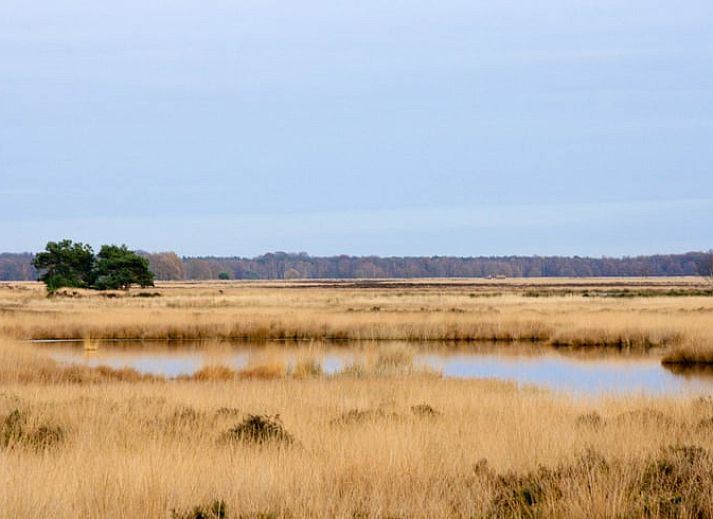 Gezellige binnenruimte met open haard in Vakantiehuisje in Ansen, Drenthe.