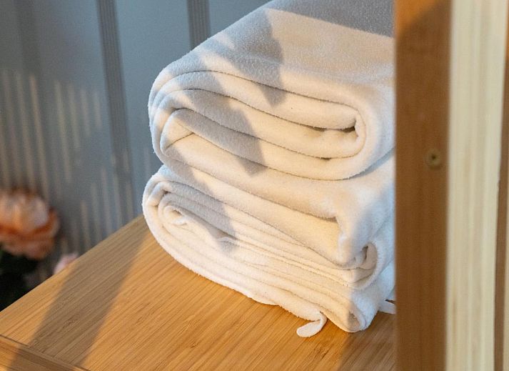 Guest house 203104 - Holiday property Zuidwest Drenthe - t Voorhuis Kolderveen