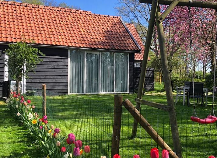 Unterkunft 203201 - Ferienhaus Zuidwest Drenthe - Vakantiehuisje in Nijensleek