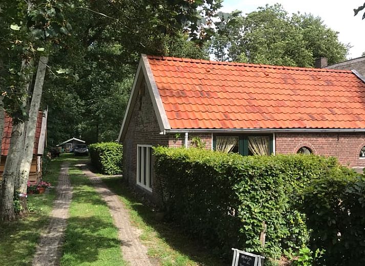 Unterkunft 203308 - Ferienhaus Zuidwest Drenthe - Huisje in Veeningen