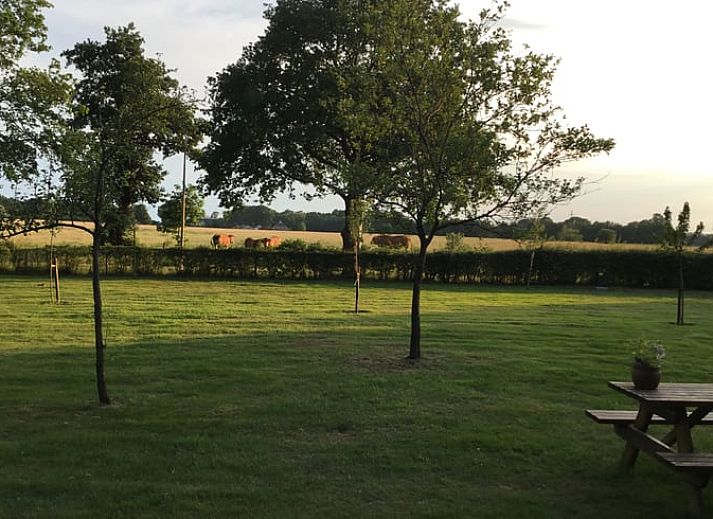 Unterkunft 203308 - Ferienhaus Zuidwest Drenthe - Huisje in Veeningen