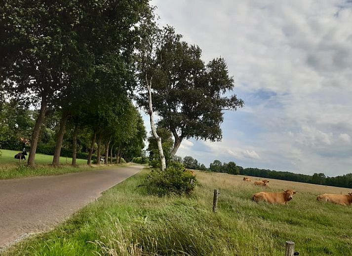 Unterkunft 203308 - Ferienhaus Zuidwest Drenthe - Huisje in Veeningen