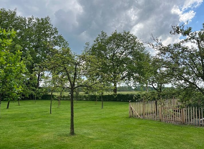 Unterkunft 203308 - Ferienhaus Zuidwest Drenthe - Huisje in Veeningen