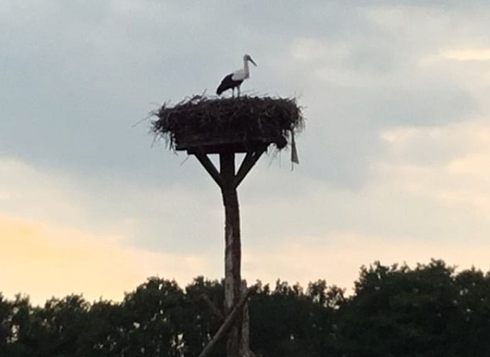 Unterkunft 203308 - Ferienhaus Zuidwest Drenthe - Huisje in Veeningen
