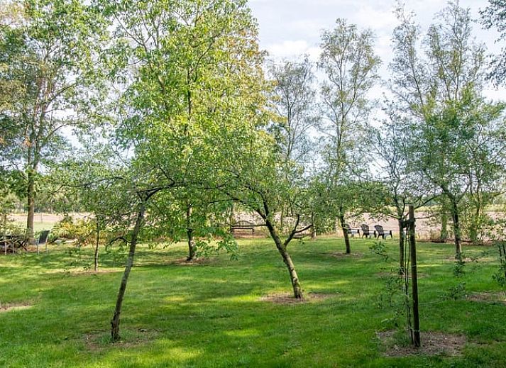 Gezellige woonkamer van Huisje in Veeningen, vakantiehuis in Zuidwest Drenthe.