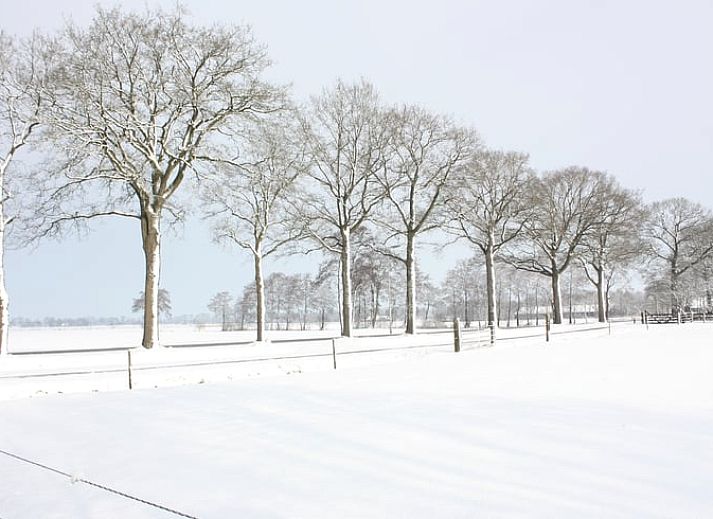 Eettafel in de binnenruimte van Huisje in Veeningen, vakantiehuis in Drenthe.