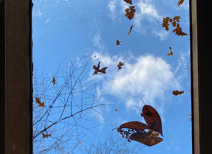 Comfortable sitting area in Huisje in Veenhuizen, vacation home in green Frederiksoord, Drenthe.
