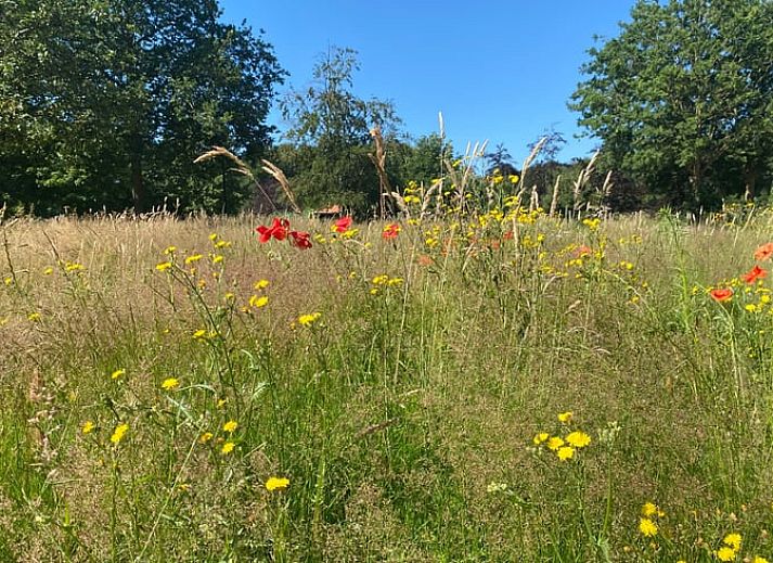Cozy corner with wood stove in Cottage in Veenhuizen, ideal for relaxation in Frederiksoord, Southwest Drenthe.