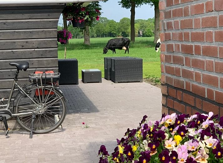 Volledig uitgeruste keuken in Vakantiehuis in Frederiksoord, Zuidwest Drenthe met vaatwasser en moderne apparatuur.