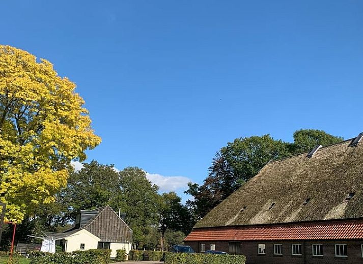 Koffiecorner in Vakantiehuis in Frederiksoord, Zuidwest Drenthe, voorzien van koffiezetapparaten voor een ontspannen verblijf.