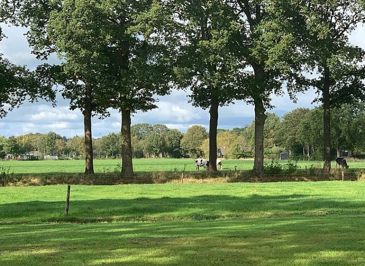 Comfortabele zithoek in Vakantiehuis in Frederiksoord, Zuidwest Drenthe, met uitzicht op het terras en groene omgeving.