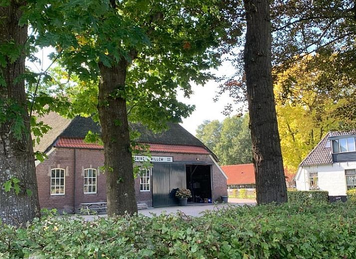 Buitenaanzicht van Huisje in Frederiksoord, een vakantiehuis in Zuidwest Drenthe omgeven door wilde bloemen.