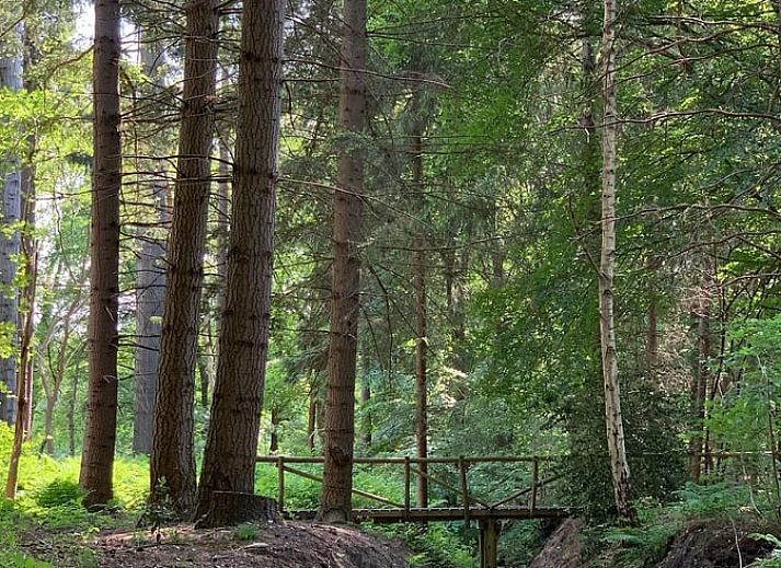Charmant vakantiehuis in Frederiksoord, Zuidwest Drenthe met een landelijke uitstraling en groene omgeving.