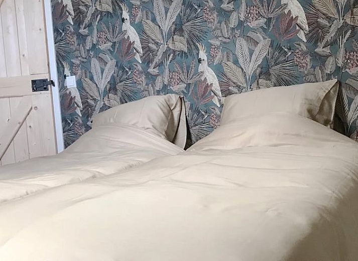 Unterkunft 203512 - Ferienhaus Zuidwest Drenthe - Vakantiehuis in Frederiksoord