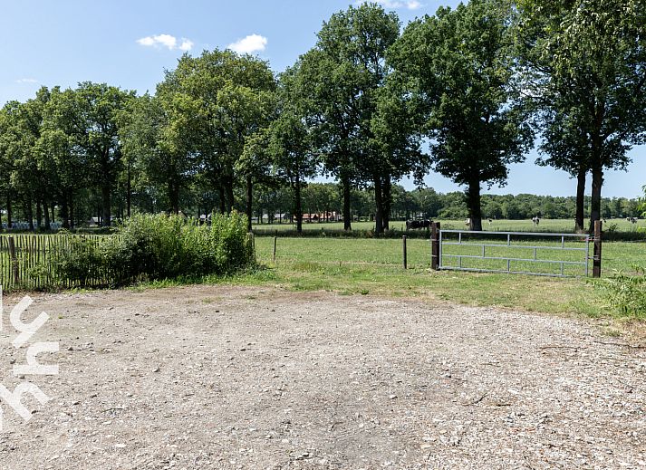 View of meadow at DG1027 vacation home in Frederiksoord, Drenthe with comfortable chairs.