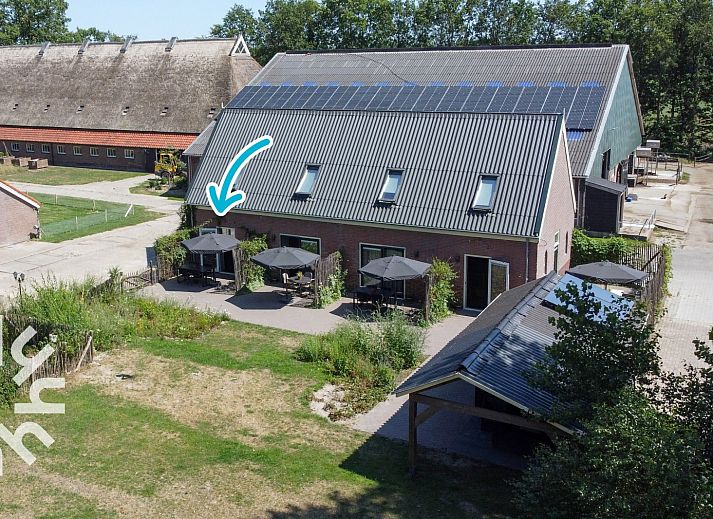 Cows in the meadow, near DG1027 vacation home in Frederiksoord, Drenthe.