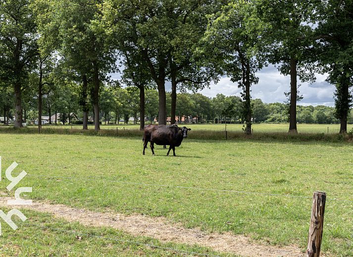 Modern shower in DG1027 vacation home in Frederiksoord, Drenthe.