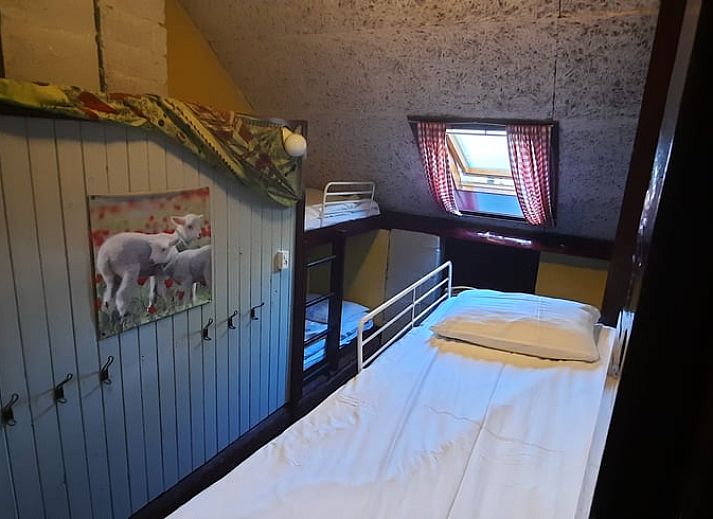 Unterkunft 203605 - Ferienhaus Zuidwest Drenthe - Huisje in Linde