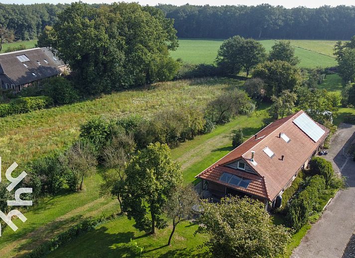 Kuh auf der Wiese bei DG016 Ferienhaus in Zuidwolde-Linde, Drenthe.